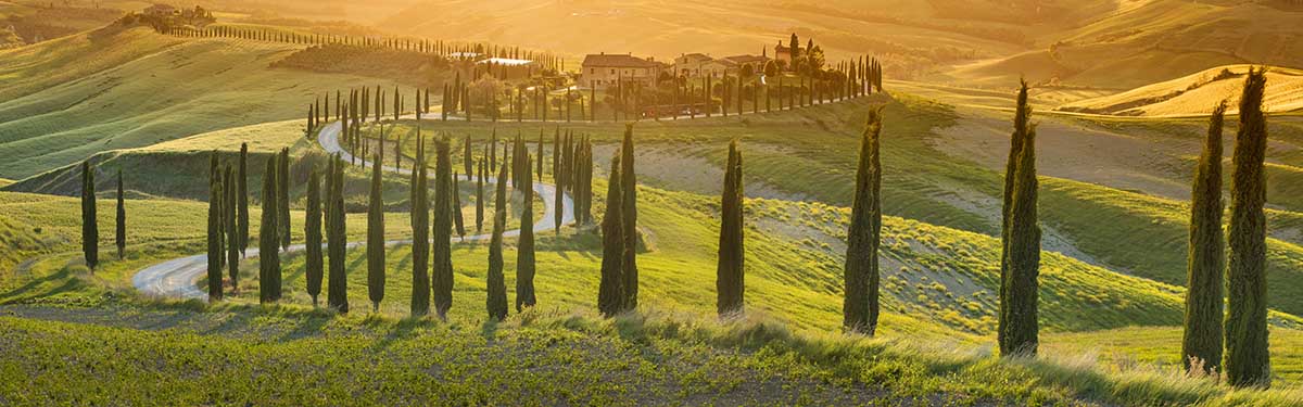 bio web design travel guides bio web design travel guides